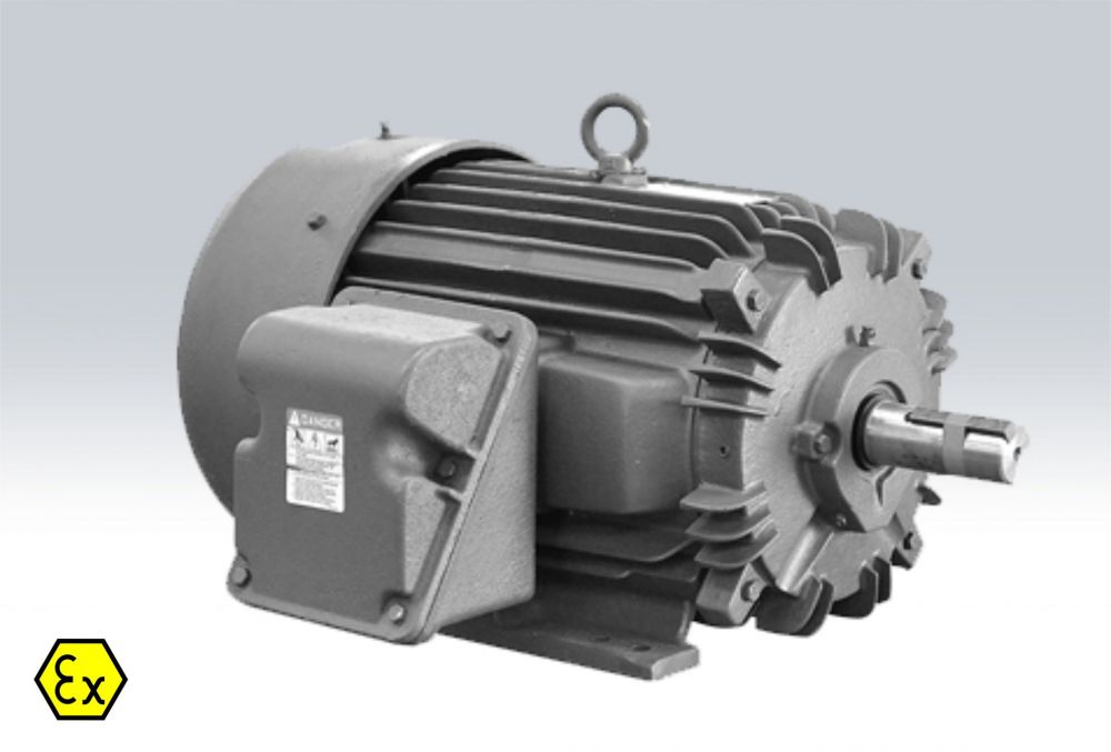  HEAVY DUTY EXPLOSION PROOF INDUCTION MOTORS